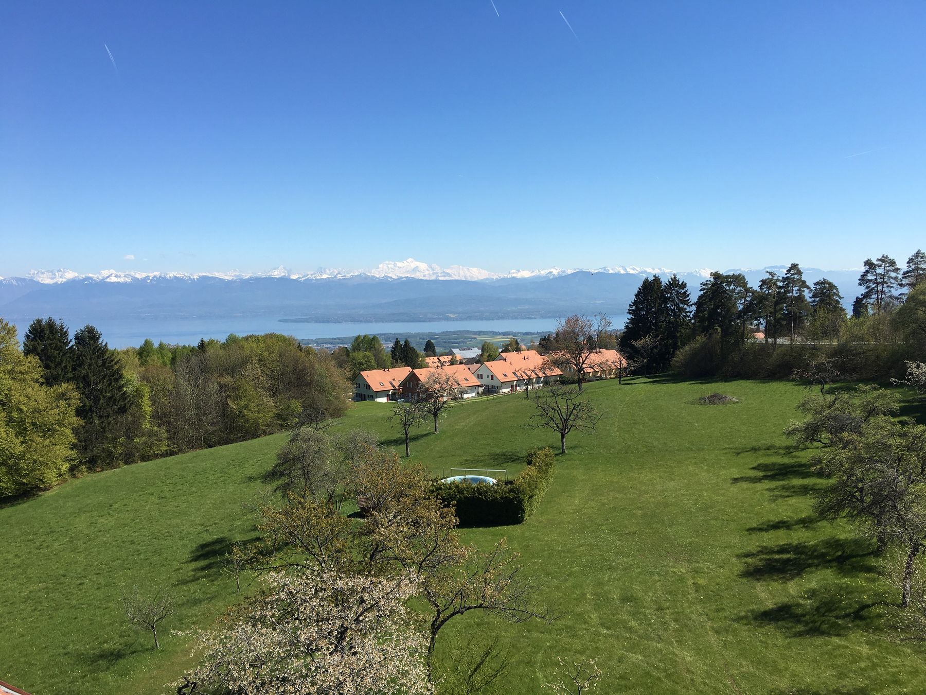 Blick vom Anwesen auf den Genfersee und die Alpen